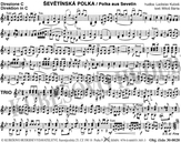 Polka aus Sevetin (mittlere Besetzung)